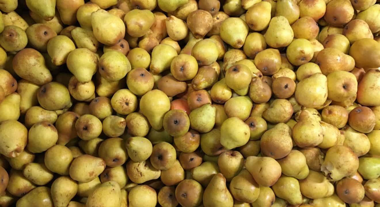 Fetz - Weinbau
